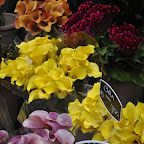 DSC_6979.jpg