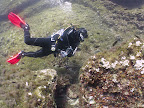 Diver : finning along the wall bellow the cliffs at Montacto