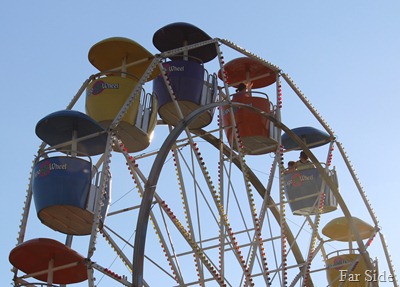 Expo Wheel Expo Wheel