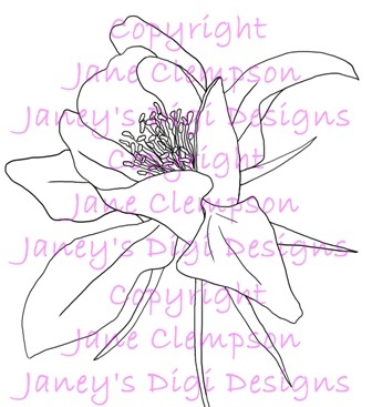 [Aquilegia%2520Flower%2520-%2520Watermarked%2520-%2520Copy%255B2%255D.jpg]