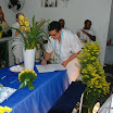 DINDO.jpg