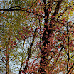 DSC_0221 cropped.jpg