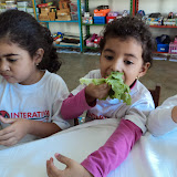 DSC03458.JPG