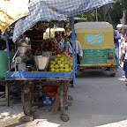 DSC_5491.jpg