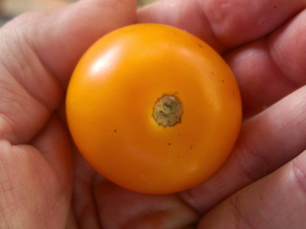 [P9080030%255B4%255D.jpg]