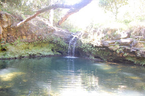 DSC_0022.JPG