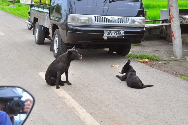 [DSC_0053%255B3%255D.jpg]