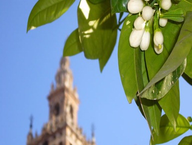 Sevilla en primavera