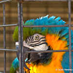 IMG_4524.jpg