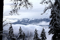 IMG_9208.JPG Photo
