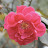 DSC_0319.jpg