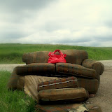 "Red" - copyright Dawn Olsen