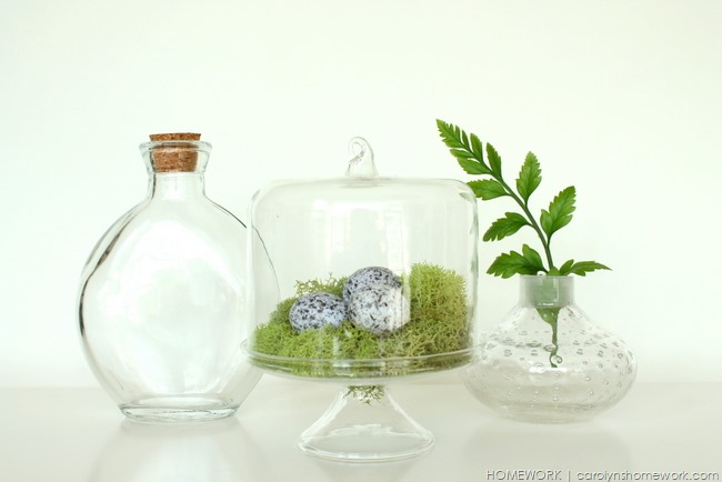 Moss and Fern Spring Decor via homework | carolynshomework.com