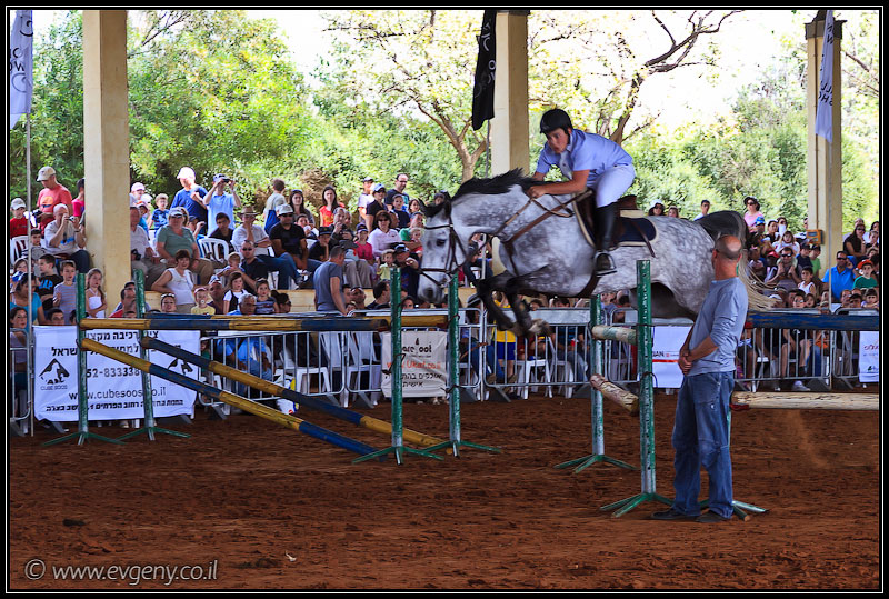 il/Фото: Stallion Show 2011 (20110416 stllion show 014 2025)