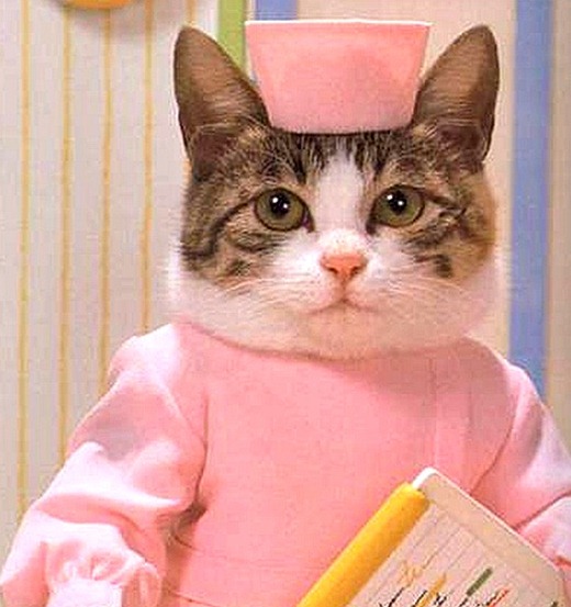 [aptechka_thumb%25255B11%25255D%255B9%255D.jpg]