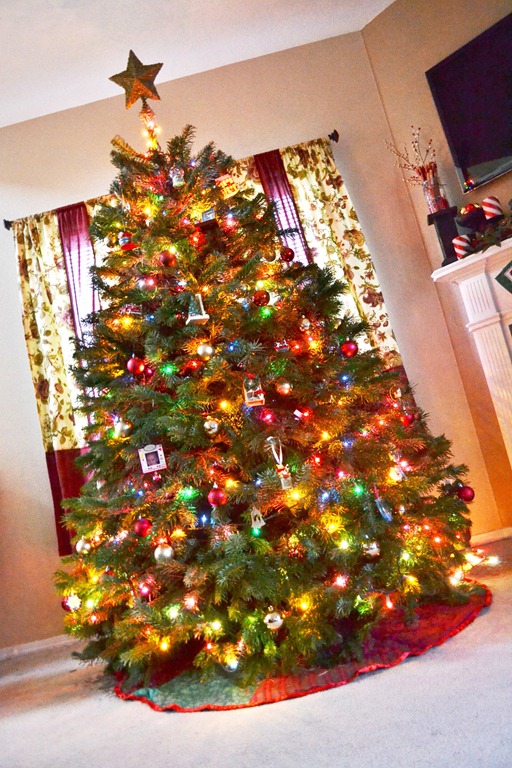 [tree-105.jpg]