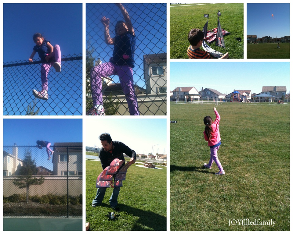 [kite-flying5.jpg]