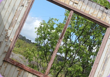 bild (2)
