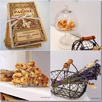collage ingresso collage ingresso