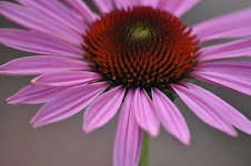 DSC_1673.JPG