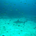 Dsc02177