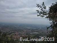 IMG_8109 IMG_8109