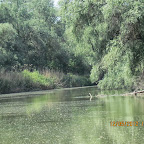 IMG_7758.JPG