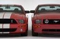 Shelby-Caroll-79
