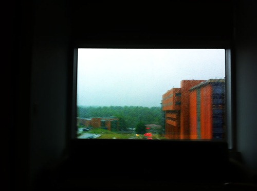 hospitalwindow