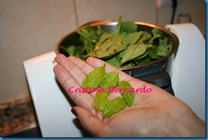 IMG_6267 IMG_6267