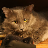 IMG_1598.JPG
