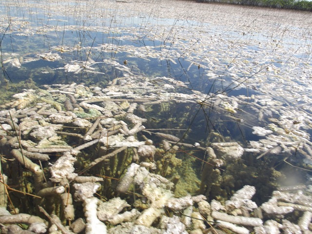 [9milepondpaddle047.jpg]