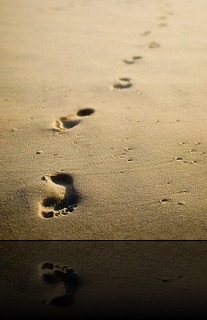 footprint3