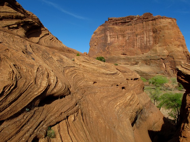 Canyon de Chelly National Monument White House Trail (25)