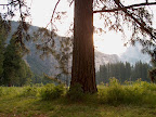 Sentinel Meadow at dawn
