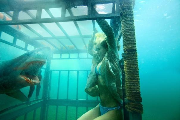 Shark_Night_3D_1