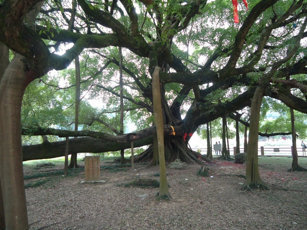 [DSC06870%255B4%255D.jpg]