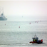 DSCF6955.jpg