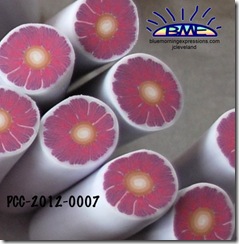 PCC-2012-0007