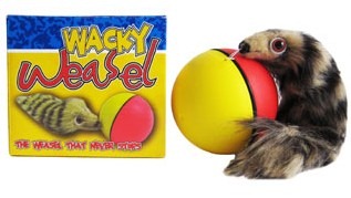 [wacky%2520weasel%255B4%255D.jpg]