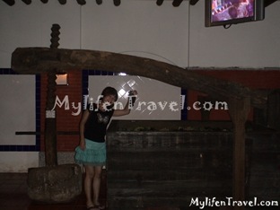 Wine Museum 33 Wine Museum 33