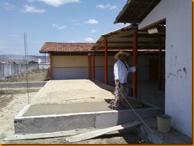 arioene1 arioene1