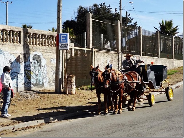 Pichilemu_DSC02654