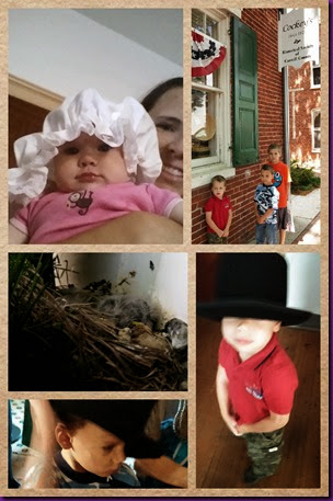Collage 2014-06-09 21_26_59 Collage 2014-06-09 21_26_59