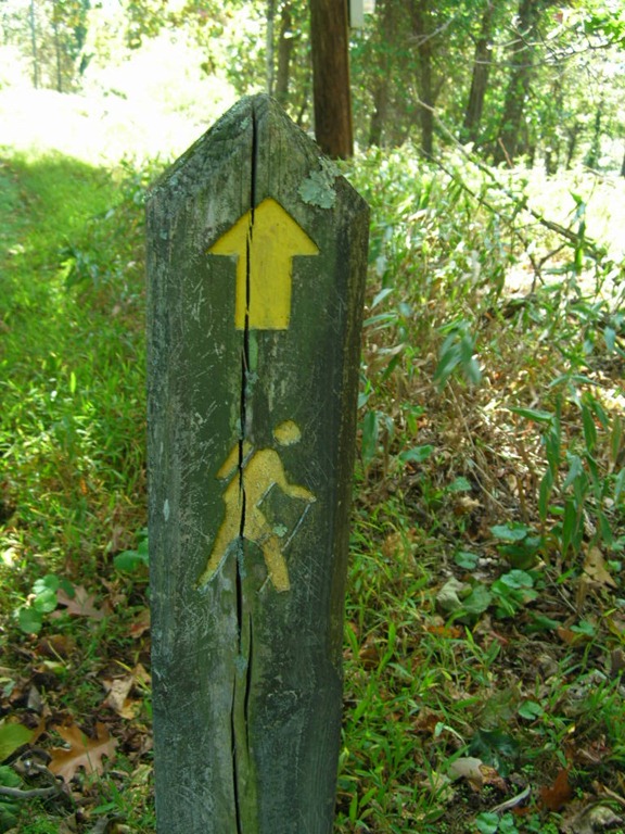 [DSCN0197%255B5%255D.jpg]