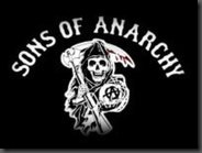 SOA BANNER