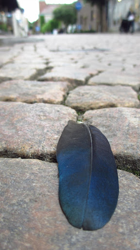 …I found it on a cobblestone street in Gothenburg! …I found it on a cobblestone street in Gothenburg!