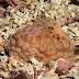 P7064864
