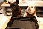 Okay, Franny, let's think hard.  What do we need to pack for G.K.?