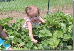 2011 Jun 08_0019 2011 Jun 08_0019
